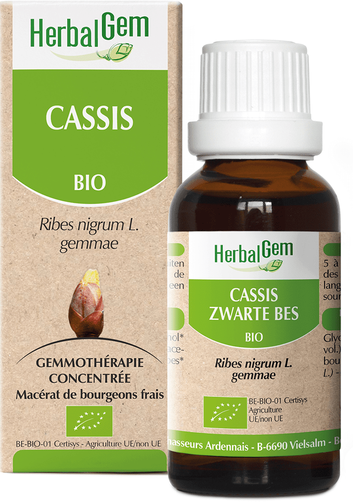 HERBALGEM Cassis Macérat bio Fl cpte-gttes/30ml