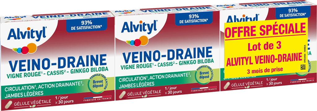 ALVITYL VEINODRAINE Comprimés 3B/30