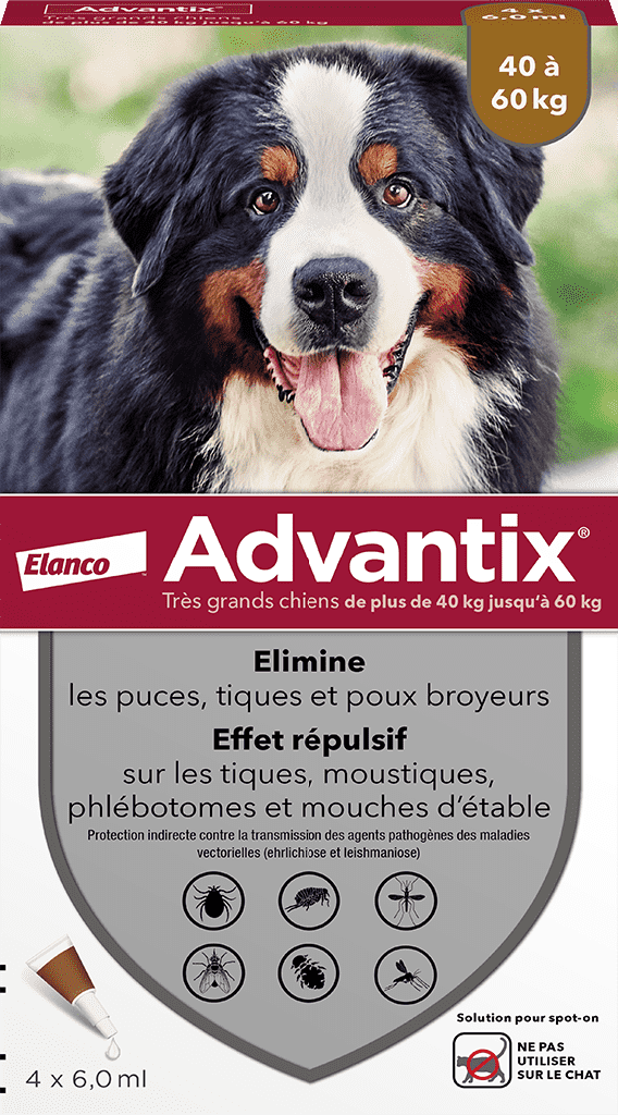 ADVANTIX Solution ext très grand chien 40-60kg 4Pipettes/6ml